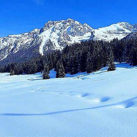 شقة Campiglio Trilocale Monte Spinale مادونا دي كامبيليو الغرفة الصورة