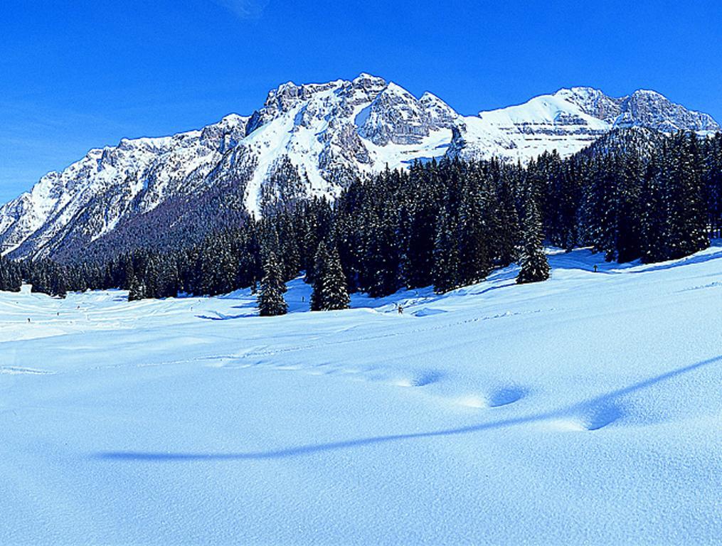 شقة Campiglio Trilocale Monte Spinale مادونا دي كامبيليو الغرفة الصورة
